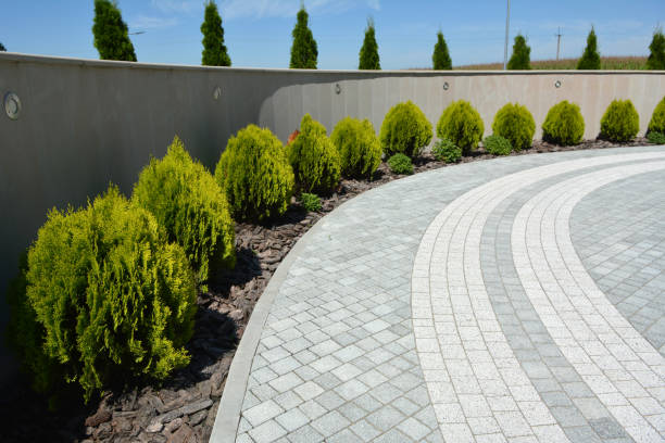 Best Custom Driveway Pavers  in Fmington, AR